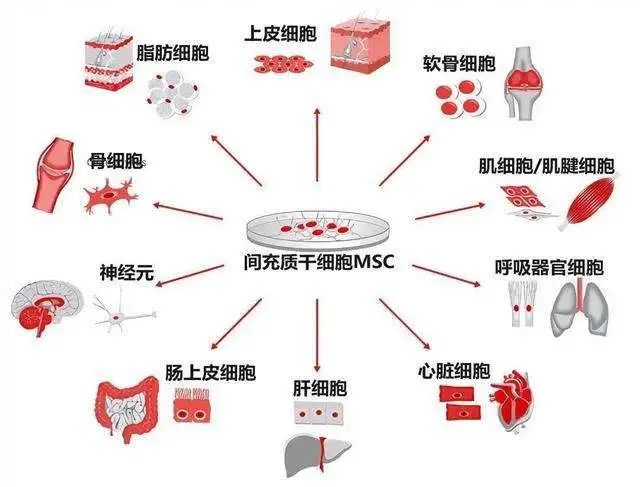 微信圖片_20220112094720.jpg