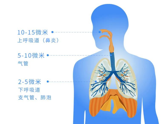 外泌體霧化吸入法.png